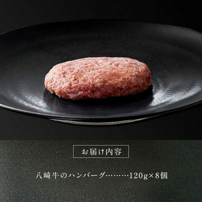 八崎牛のハンバーグ120g×8個 N0105-YZB246