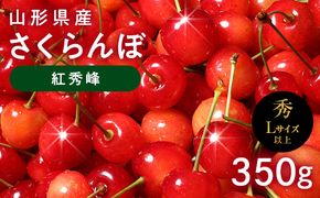 FYN6-620 ≪2027年先行予約≫山形県産 さくらんぼ 紅秀峰 350g 秀品 L以上 バラパック詰め 2027年6月中旬から順次発送 果物 くだもの フルーツ サクランボ チェリー 贈答 贈り物 ギフト プレゼント 自宅 家庭 産地直送 山形県 西川町 月山