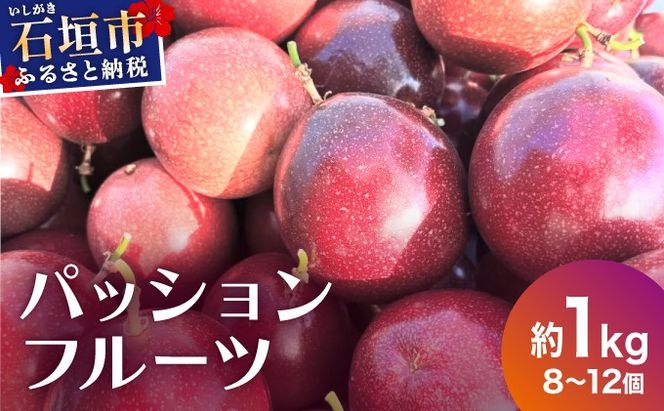 《2025年12月下旬〜2026年6月頃発送》希少な完熟パッションフルーツ 約1kg (8〜12個) TF-97