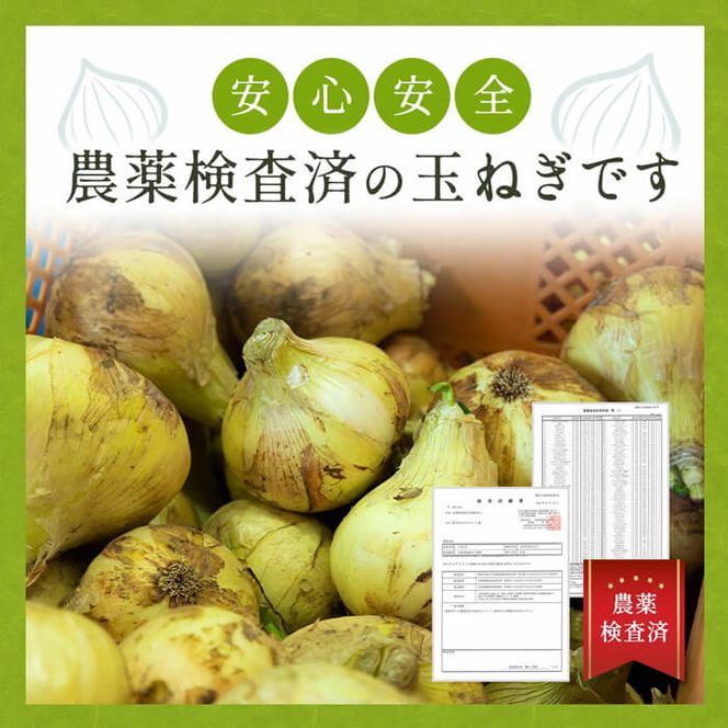 【新玉ねぎ】今井ファームの淡路島たまねぎ「かくし玉」5kgとたまねぎスープ10食【発送時期2026年4月下旬～5月頃】