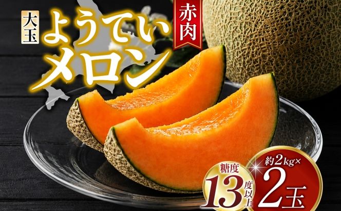 北海道 赤肉メロン 大玉 約2kg 2玉 メロン 赤肉 果物 フルーツ 甘い 完熟 スイーツ デザート 産直 国産 贈答品 お祝いギフト羊蹄山 JAようてい