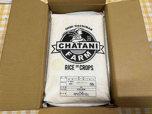 【新米】令和8年産　近江米　ミルキークイーン 白米【10kg（5kg×2袋）】【V010W2】（滋賀県　近江八幡市）
