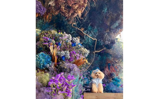 花の異空間　レンタルスペース（2名様・2時間）〈月～土　am9:00～pm5:00〉 272230_BG083