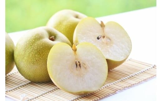 【2025年発送分】フルーツ王国やまなし《人気品種》 和梨 8～15玉（約2.5kg）幸水 豊水  ※8月上旬以降発送予定 梨 なし くだもの 果物 フルーツ 山梨 やまなし 産地直送 先行予約