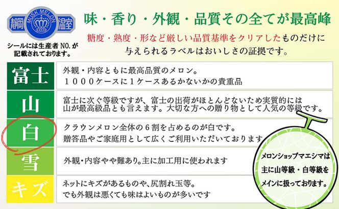 【奇数定期便】クラウンメロン【並(白等級)】小玉(1.1kg前後)3玉入り 果物 メロン青肉 フルーツ デザート 高級メロンブランド 高級メロン ブランドメロン