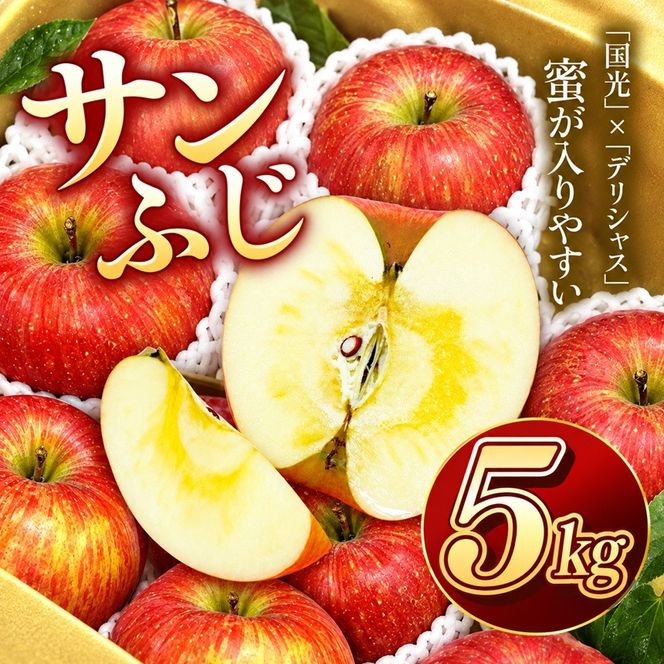 りんご サンふじ 令和8年11月下旬発送 信州のサンふじ 約5キロ！（りんご・リンゴ・林檎）伊那市 長野県 信州【012-19】