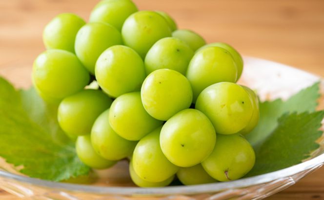 【2026年先行予約】 ぶどう 岡山県産 シャインマスカット 晴王 厳選 1房 約700g 大房 岡山県 倉敷市 船穂産 《2026年6月中旬-7月上旬頃出荷》 葡萄 ブドウ フルーツ 果物 スイーツ 数量限定 期間限定 里庄町 