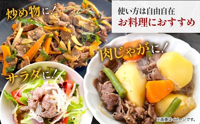 【A4～A5】くまもと黒毛和牛 切り落とし 500g 《30日以内に出荷予定(土日祝除く)》 牛肉 くまもと黒毛和牛 黒毛和牛 冷凍庫 切り落とし---sn_fespkiri_30d_24_10000_500g---