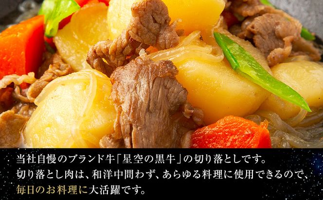 【3か月 定期便】北海道産 星空の黒牛 切り落とし 約1kg（500g×2） 【 肉 にく ニク 牛肉 牛肉赤身 赤身 牛肉セット バーベキュー 冷凍牛肉 贅沢牛肉 国産牛肉 北海道産牛肉 道産牛肉 簡単 お手軽 特製牛肉 標茶町 北海道 】 016641_AD051