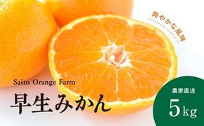 【先行予約】Saito Orange Farmの早生(わせ)みかん5kg ｜ 柑橘 みかん ミカン フルーツ 果物 愛媛　※離島への配送不可　※2024年11月中旬頃より順次発送予定