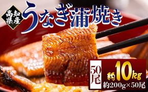 高知県産蒲焼きうなぎ ２００ｇ ５０尾 計１００００ｇ fb-0190