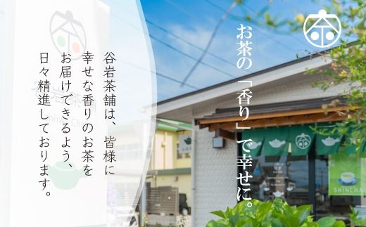 茶 特撰 みやざき茶 3本 セット [谷岩茶舗 宮崎県 日向市 452061602] 詰め合わせ 飲み比べ 煎茶 釜炒り ほうじ お茶 香り 和菓子 茶葉