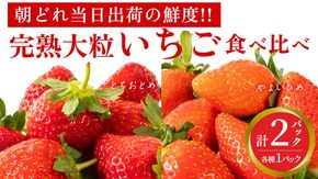 完熟 やよいひめ ・ とちおとめ 食べ比べ 2パック 先行予約 大粒 イチゴ 苺 いちご フルーツ 果物 [AF060ci]