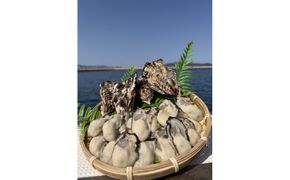 加熱用 殻付き牡蛎1kg 372013_LN001