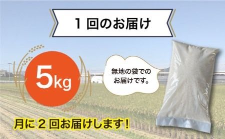 【全6回(月2回)定期便】栽培期間中 農薬不使用のお米 ヒノヒカリ 5kg 糸島市 シーブ [AHC006] お米 5kg 送料無料 ギフト 5キロ 無農薬 米 おにぎり 定期便