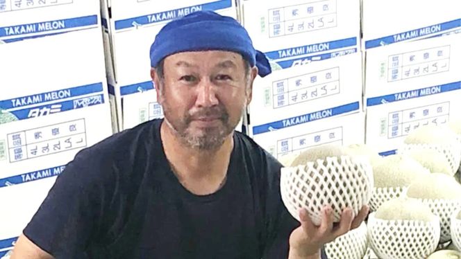 【 先行予約 2026年 6月上旬以降発送】 選べる玉数 令和8年産 八千代町産 タカミメロン 秀品 2玉 3玉 4-6玉 約3.5kg 約5kg 約5.5kg 期間限定 産地直送 果物 フルーツ メロン 甘い 人気 タカミ 貴味 [AX039-41ya][SZRY]