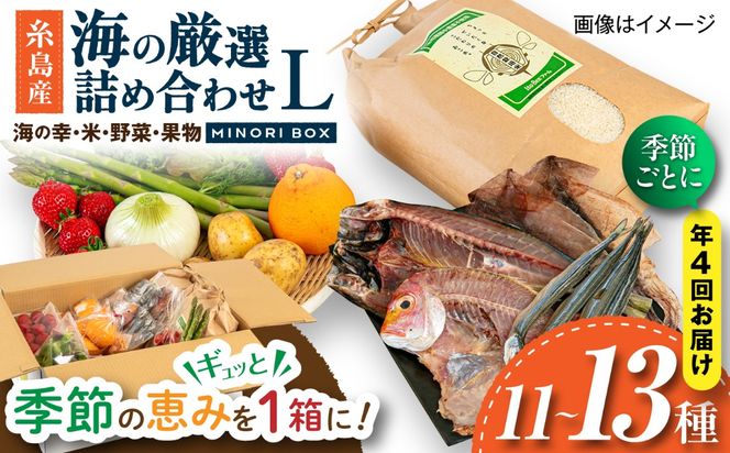 【全4回定期便】糸島産 魚 米 野菜 果物 厳選詰め合わせ MINORI BOX Lサイズ【季節ごとに年4回お届け】　糸島市 / emma.Inc / 米 魚 野菜 果物 詰め合わせ[AOP006] 米 こめ 魚 さかな 野菜 やさい 果物 くだもの 糸島 詰め合わせ MINOR