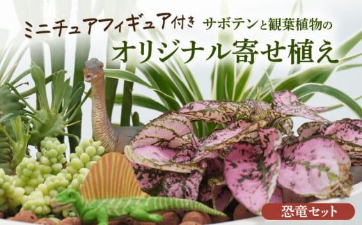 サボテンと観葉植物のオリジナル寄せ植え【恐竜セット】［133O05］