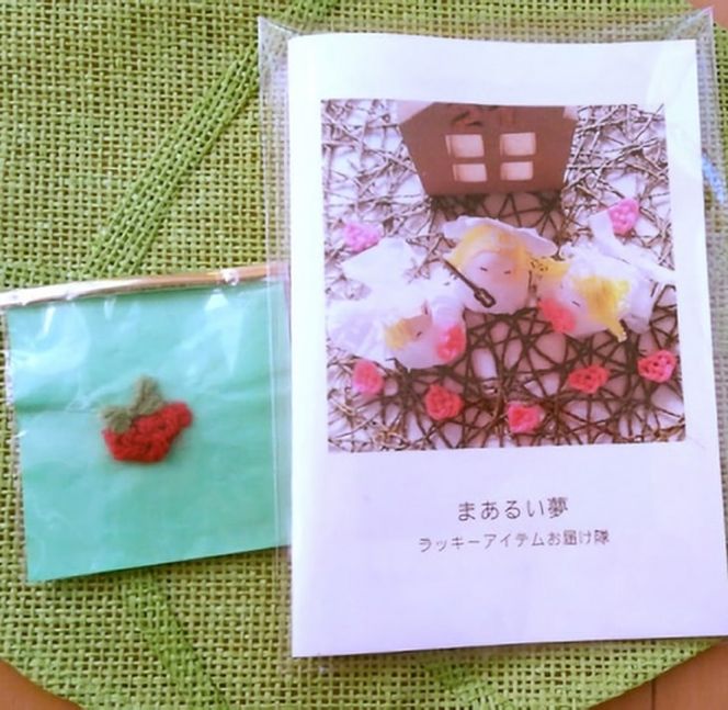 命の出前授業応援プロジェクト【A】
