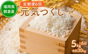 令和8年度産米 定期便 6ヶ月 元気つくし 5kg  福岡県朝倉産 白米 精米 お米