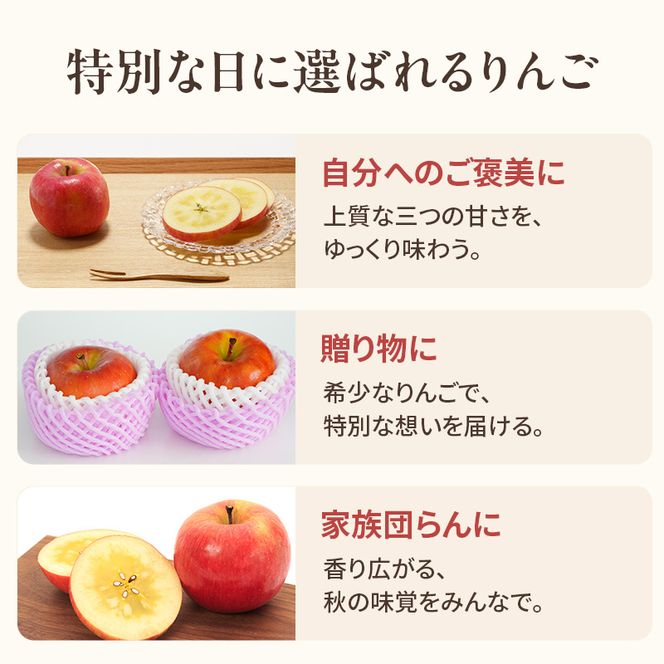 ★数量限定★ 幻のりんご こうとく (高徳) 3kg 蜜入り 希少 高級 果物 フルーツ 先行予約 宮城県 大河原町 リンゴ 林檎 くだもの 送料無料