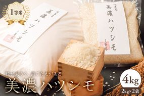 2025年産米　美濃ハツシモ　１等米４kg（２kg×２袋）【0021-006】
