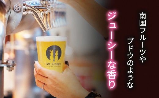 TWO RABBITS BREWING クラフトビール＜キウイ IPA×24本セット＞【DN09W】