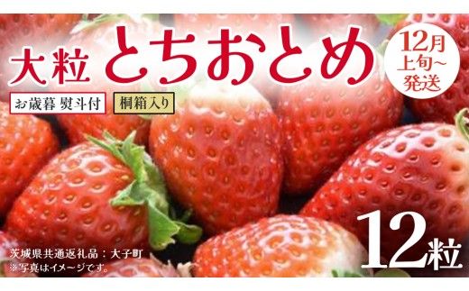 【 お歳暮 熨斗付き 】 桐箱入り 大粒 とちおとめ 12粒 (茨城県共通返礼品：大子町) いちご 苺 果物 フルーツ 果実 贈答用 ギフト 贈り物
