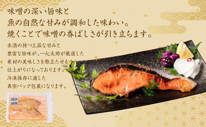 酒蔵育ち 肥後のプレミアムサーモン 味噌漬け 2切入×1パック サーモントラウト 銀鮭 味噌漬け 赤酒 切身 切り身 和食 魚 おかず 熊本県 八代市