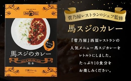 馬スジのカレー 10食セット 10人前 合計2.1kg 馬スジ 馬肉 カレー レトルト