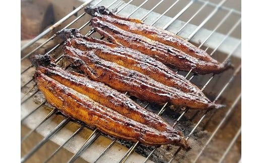 【備長炭で焼く“いい焦がし”】炭火焼うなぎ勝〇お食事券6,000円分 うなぎ 鰻 店 飲食 食事券 H189-025
