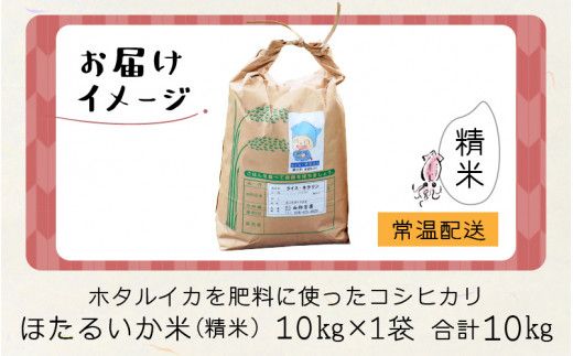 【訳あり】ほたるいか米（精米10kg）【通年発送】