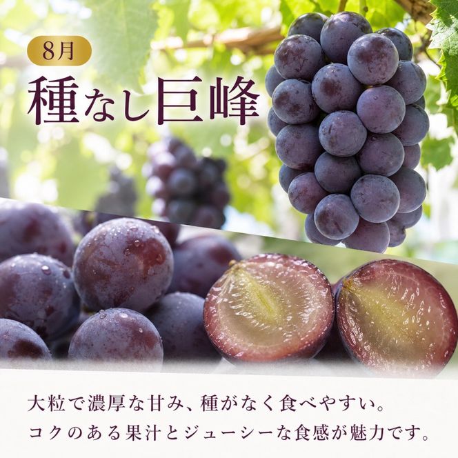 定期便 8・9月発送 紀州有田産旬のぶどうセット（種なし巨峰×約2kg・シャインマスカット×約2kg）  AN065