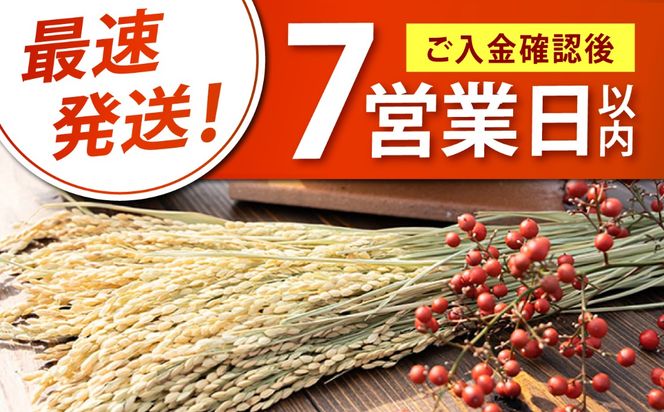とくべつ の中の とくべつ  特別栽培米 夢つくし 3kg 【築上町】 / itoshimacco / 株式会社やました[ABEX001]