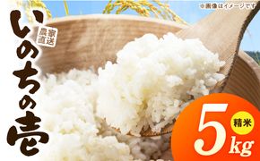 R7年産　「いのちの壱」（5kg）＜農家直送＞ ［208K09］ 希少米 5kg 米 精米 白米 ご飯 国産 産地直送 甘い 粘り強い もちもち お取り寄せ こだわり米 愛知県 小牧市 送料無料
