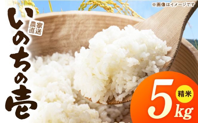 R7年産　「いのちの壱」（5kg）＜農家直送＞ ［208K09］ 希少米 5kg 米 精米 白米 ご飯 国産 産地直送 甘い 粘り強い もちもち お取り寄せ こだわり米 愛知県 小牧市 送料無料