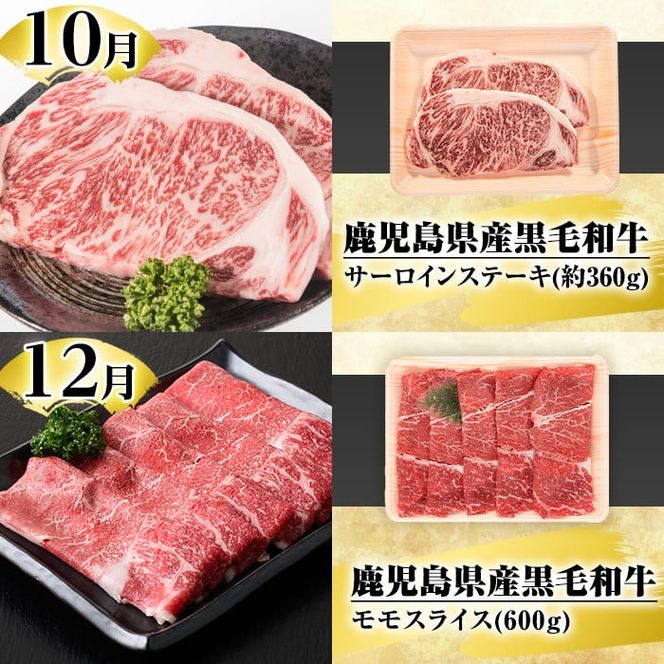 ＜定期便・全4回(4月・7月・10月・12月)＞鹿児島県産！黒毛和牛満喫定期便(総量2.3kg超)国産 九州産 鹿児島産 牛肉 国産牛 もも モモ肉 もも肉 スライス サーロイン ステーキ 切り落とし 切落し ロース 焼肉 焼肉セット 赤身 A4 頒布会【スターゼン】akn042-21