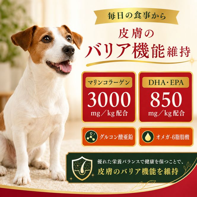 ビューティープロ ドッグ 食物アレルゲンに配慮 1歳から 2.3kg ｘ4(ケース単位) ドッグフード