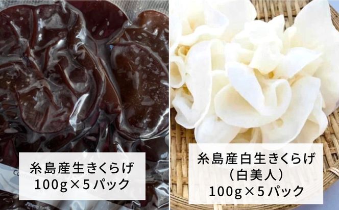 結樹農園アグリス きくらげ満足セット ≪糸島市≫【結樹農園アグリス】きくらげ/国産/明太/明太子 [AAJ004] きくらげ 国産 明太 明太子 ご飯のお供 ごはんのおとも 辛子明太子 きのこ