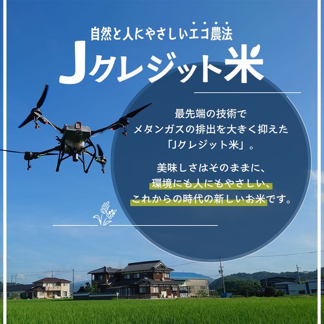 【令和8年産 先行受付】しきゆたか 白米 10kg《2027年3月発送》
