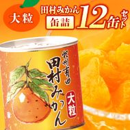 AY6003n_田村みかん 缶詰 12缶セット