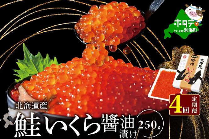 【250g×1パック 4回 お届け】 4ヵ月 定期便 漁協 直送！本場「北海道」 いくら 醤油漬け【NKM04NQ13】