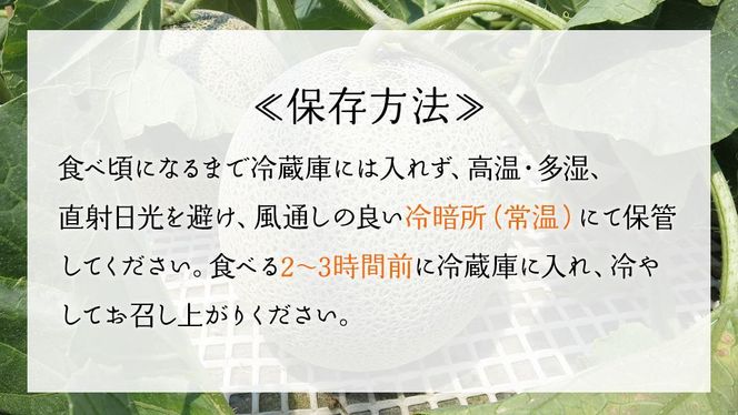 【6月上旬頃より発送】茨城県産 青肉・赤肉メロンセット 秀品または優品 3Lまたは4Lサイズ×各1玉入 おすすめ JA全農いばらき JA メロン めろん フルーツ くだもの 果物 国産旬 定番 旬 期間限定 青肉 赤肉 食べ比べ アンデス クインシー エルソル