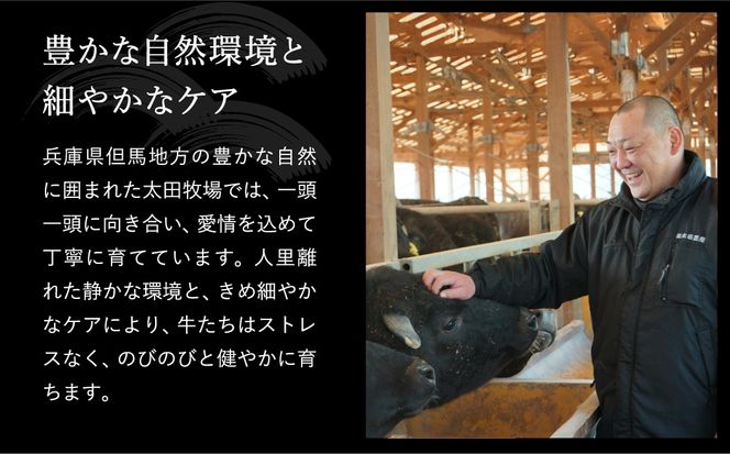 神戸牛 不揃いのサイコロステーキ計1.5kg ロース・肩ロース・かた・もも500g×3P/ 訳あり サイコロステーキ 焼肉用 牛肉 霜降り 黒毛和牛 国産牛 ステーキ ロース 肉 焼肉 焼き肉 神戸ビーフ 太田牧場 TYDS3-3 【但馬牛太田家】【2026年4月より順次発送】