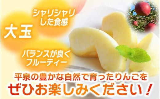 【2025年11月下旬より発送】大文字りんご園 大夢（おおゆめ） 約3kg (7～10玉) 【2025年11月上旬頃より順次発送】/ りんご リンゴ 林檎 果物 くだもの フルーツ 甘い 旬 産地直送 予約 先行予約【dma513-l-oy-3C】