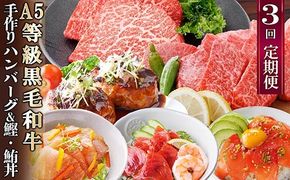 定期便(3回配送)枕崎お楽しみ便(黒毛和牛・黒豚ハンバーグ・まぐろ　かつお丼) LL-6005 【1462804】