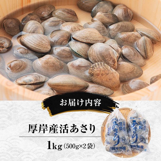あさり 訳あり 北海道 厚岸産 砂出し済み 活あさり 500g×2 (合計1kg) 【厚岸海産】[ アサリ 魚貝 海鮮 大粒 美味しい 栄養 旨み 砂出し 水洗い 冷蔵 便利 ] 