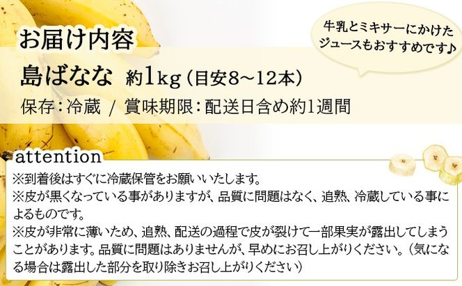 【先行予約 2026年5〜10月順次発送】バナナ好きに届けたい！！完全無農薬栽培 もっちり食感がやみつきの希少な国産『プレミアム島ばなな』贅沢に1房丸ごと約1kgお届け！！