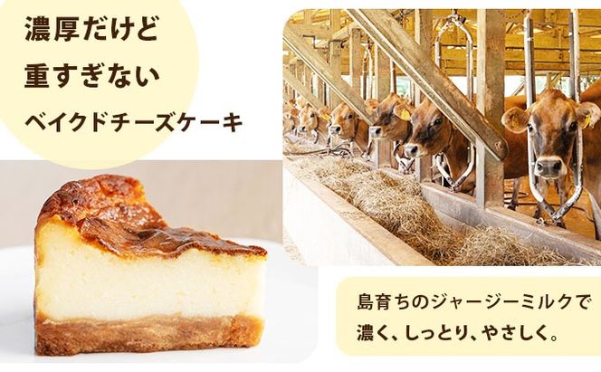 【石垣島 まぁじゅんのジャージー牧場】ジャージーミルクのベイクドチーズケーキ F-4