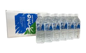 自然の名水 ぬちぐ水 500ml 24本 水 飲料水 ミネラルウォーター 防災 キャンプ 備蓄 / トゥワァイス[BCEJ001]
